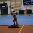 IIDNICSIR 32